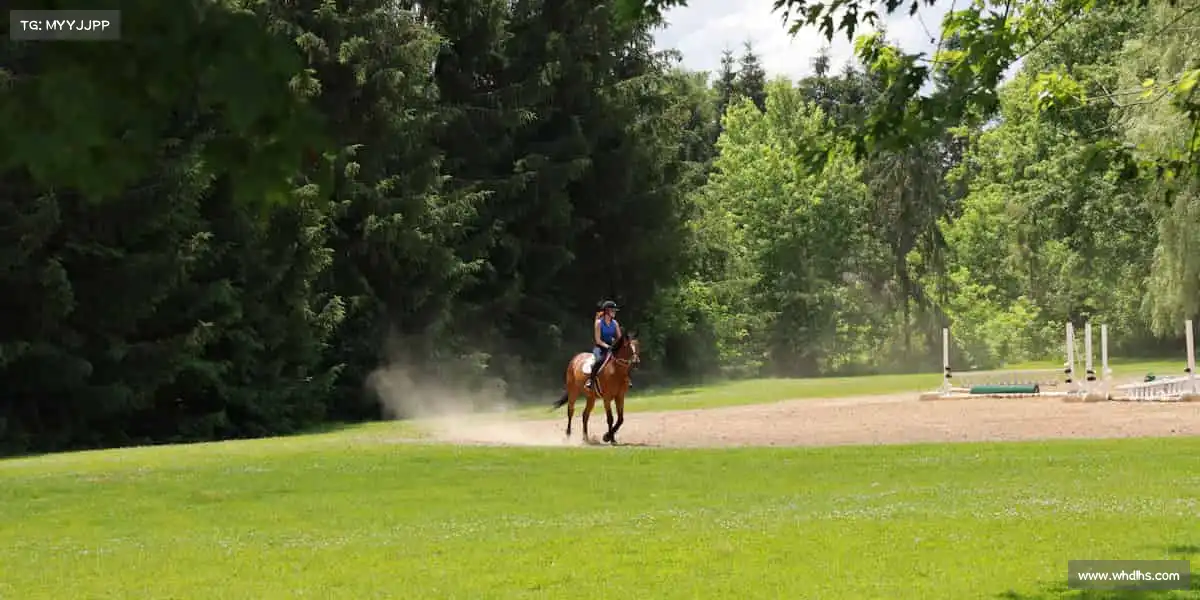yy易游🎾球拍扬起的瞬间,每一次对决都是新的挑战!